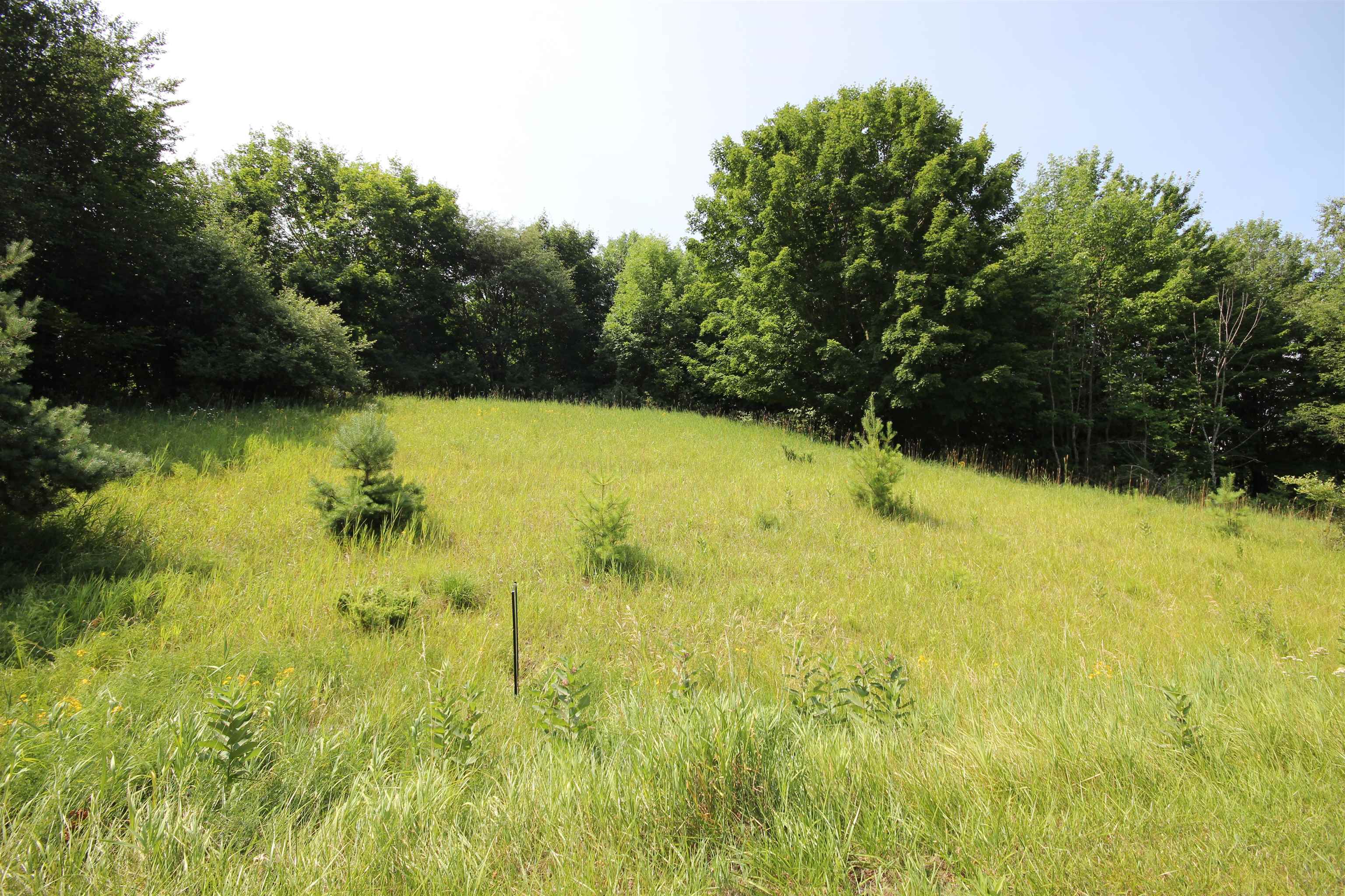 0 Deer Ridge Trail Beulah, MI 49617 - Photo 2 of 30 Gallery Image 2