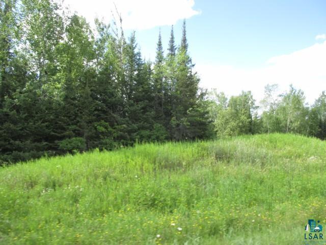 9195 Pequaywan Lake Road Duluth, MN 55803 - Photo 5 of 16 View from road