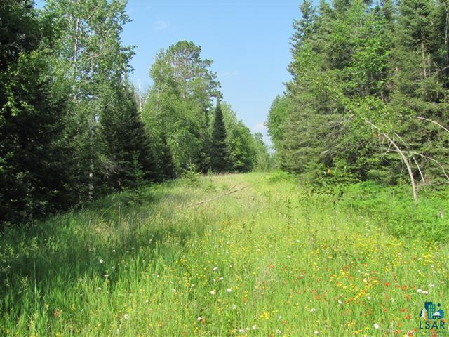9195 Pequaywan Lake Road Duluth, MN 55803 - Photo 8 of 16 Vacated old road way