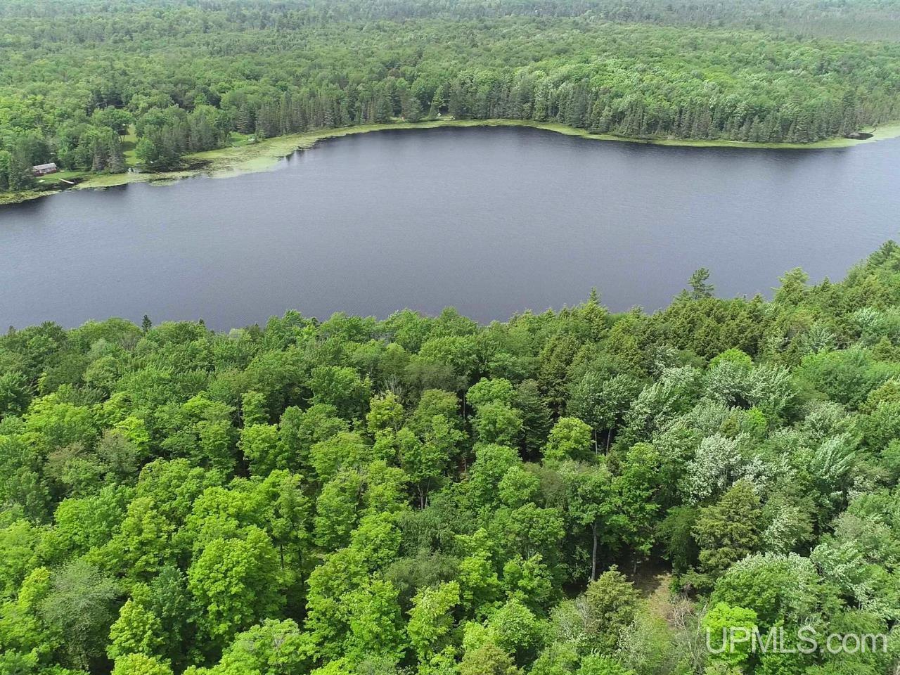Parcel 1 Grant Lake Road Republic, MI 49879 - Photo 5 of 23
