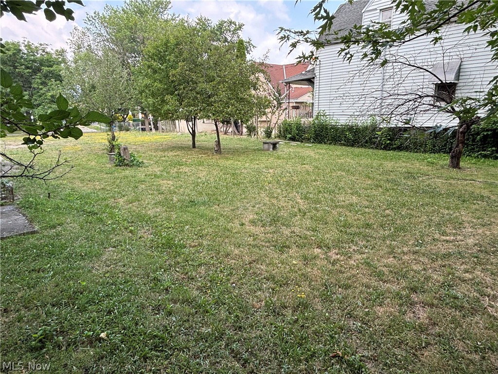 829 Whitcomb Road Cleveland, OH 44110 - Photo 7 of 12