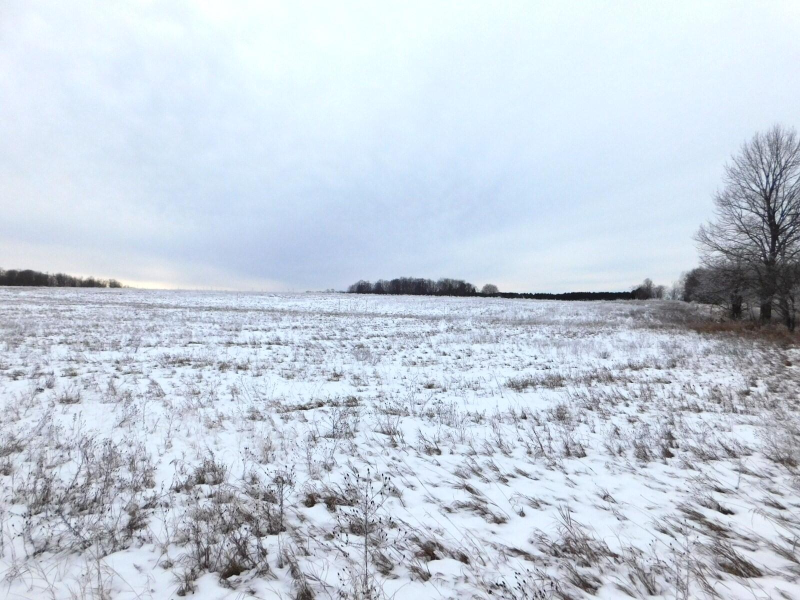 West Marker Road Grayling, MI 49738 - Photo 4 of 16 Gallery Image 4