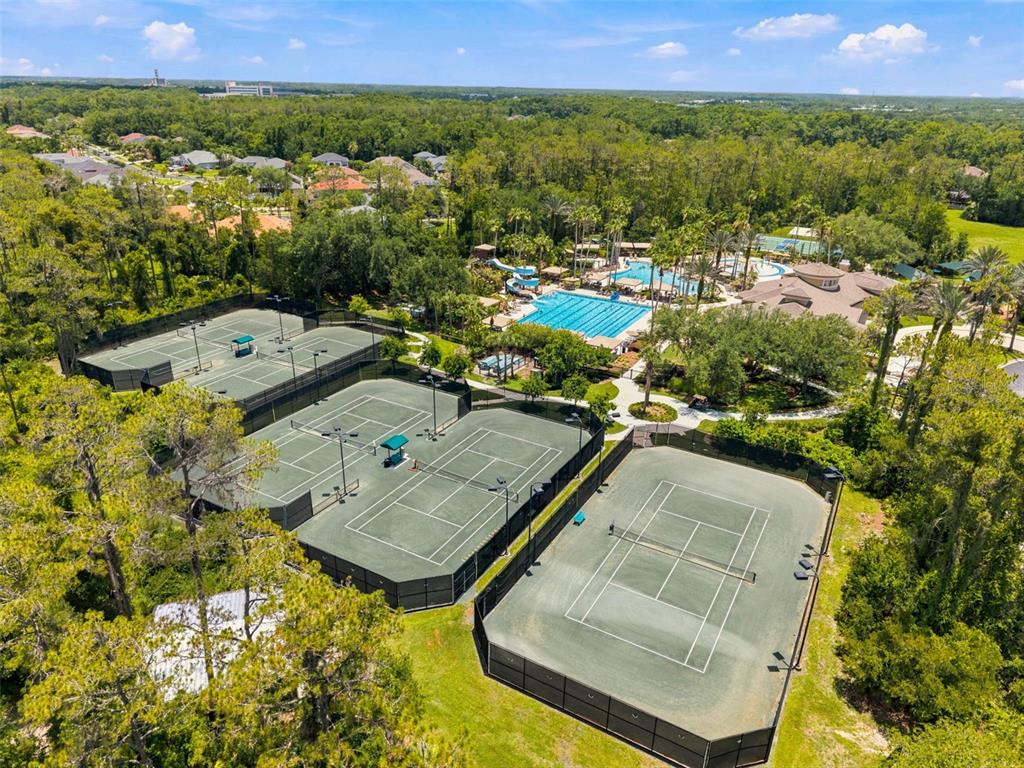3449 Loggerhead Way Wesley Chapel, FL 33544 - Photo 51 of 52
