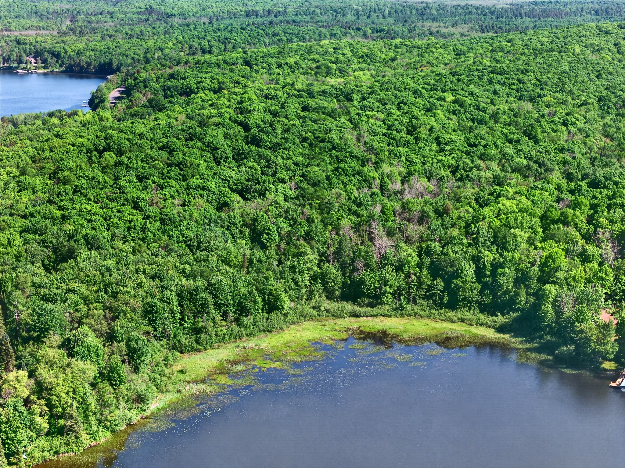 7-acres Blue Gill Bay Road Cable, WI 54821 - Photo 11 of 12