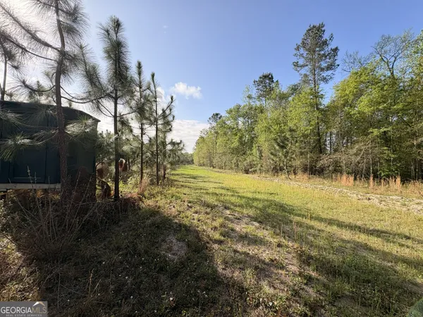 a view of outdoor space and yard