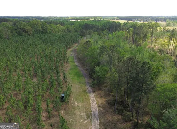 a view of a lush green forest with trees in the background