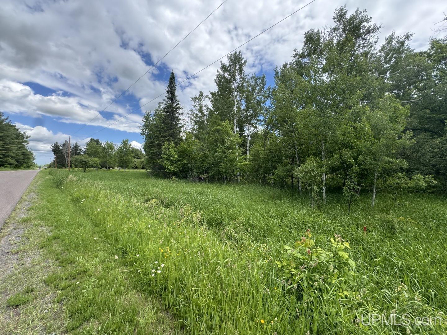 Tbd Bellaire Road Baraga, MI 49908 - Photo 6 of 23