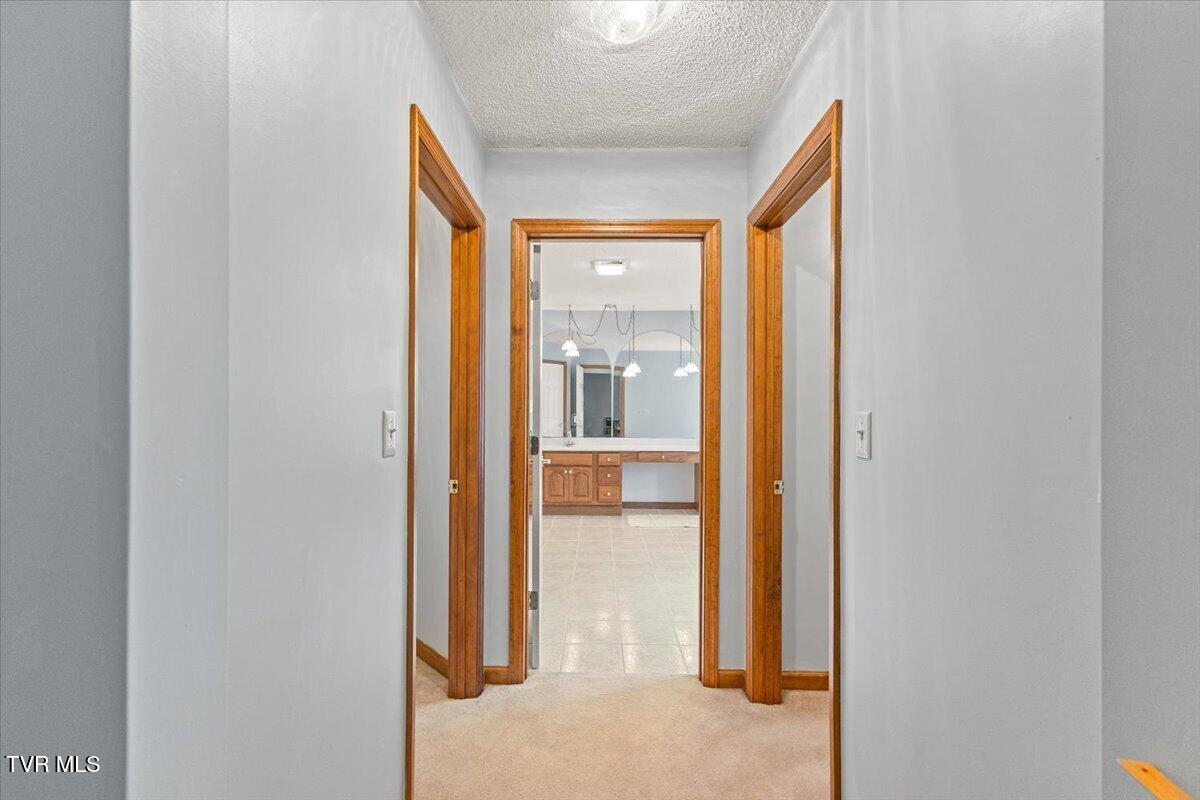 515 Scioto Road Unicoi, TN 37692 - Photo 40 of 55 Primary Suite