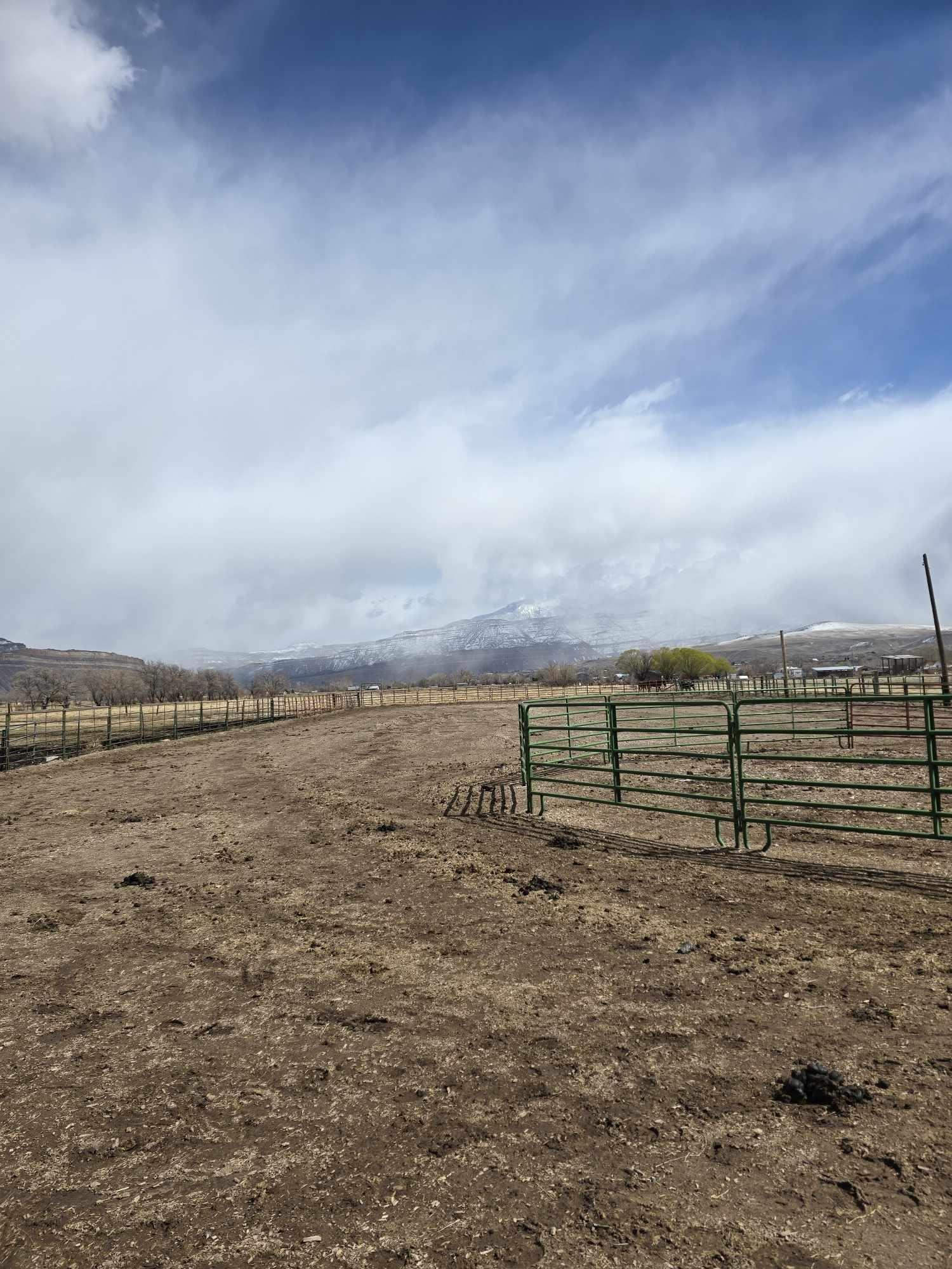 638 34 Road Clifton, CO 81520 - Photo 5 of 7 Gallery Image 5
