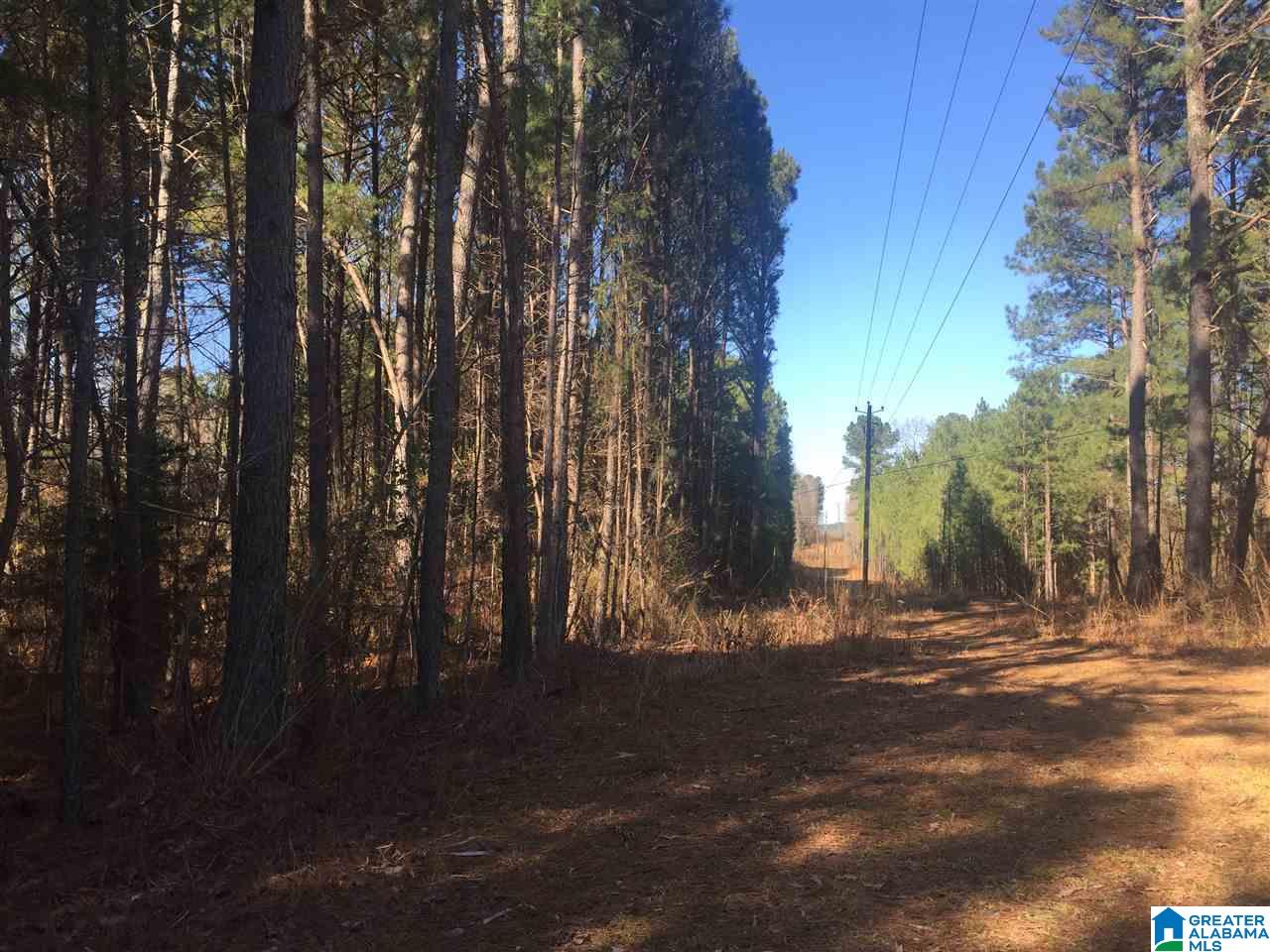 8095 Fishing Camp Road, Unit 36 001 Mulga, AL 35118 - Photo 1 of 10