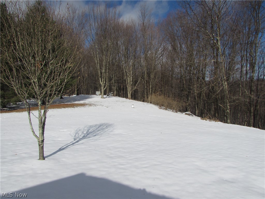 15 Ridgetop Road Monterville, WV 26282 - Photo 22 of 22