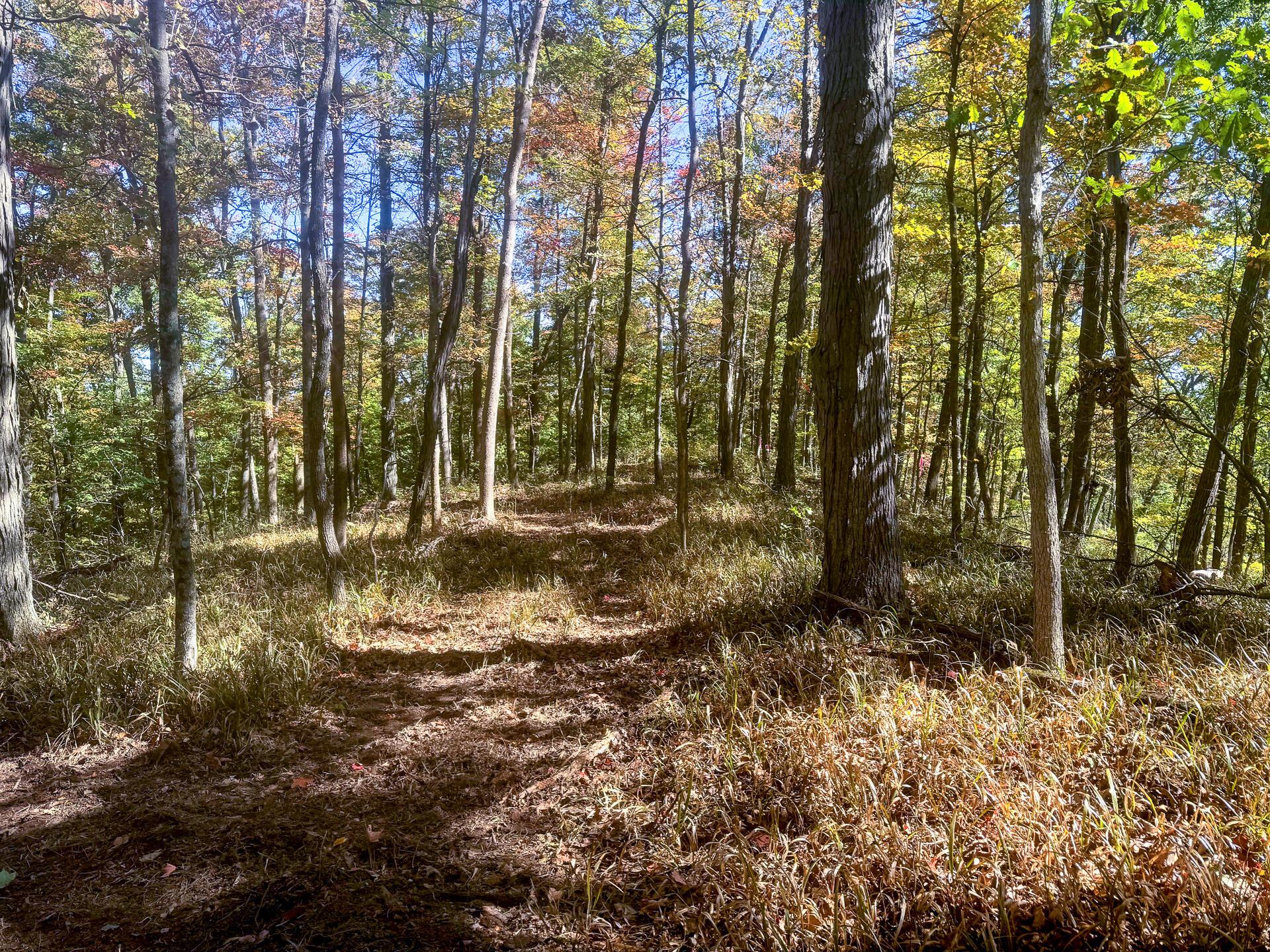 0 Easterday Road, Unit TRACT 8 AT EASTERDAY WOODS) Chillicothe, OH 45601 - Photo 1 of 24 CT-1