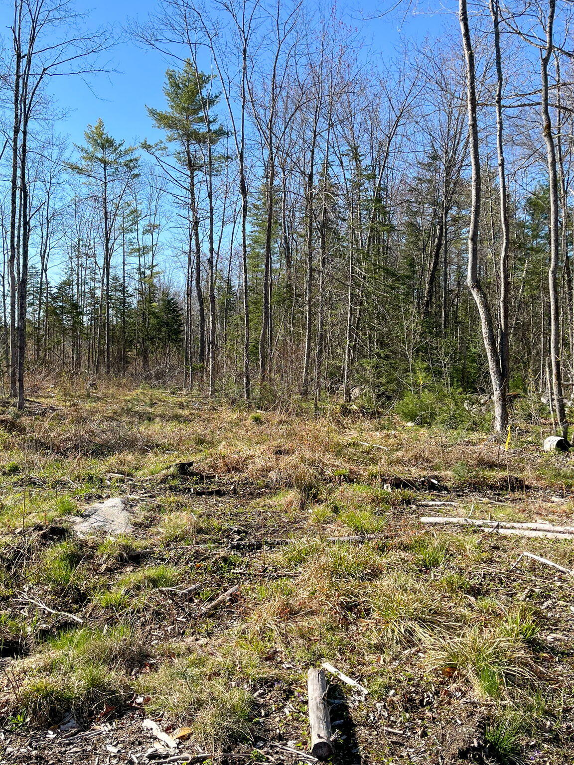 0 Rich Road Harrison, ME 04040 - Photo 3 of 10 8-web-or-mls-IMG_9834