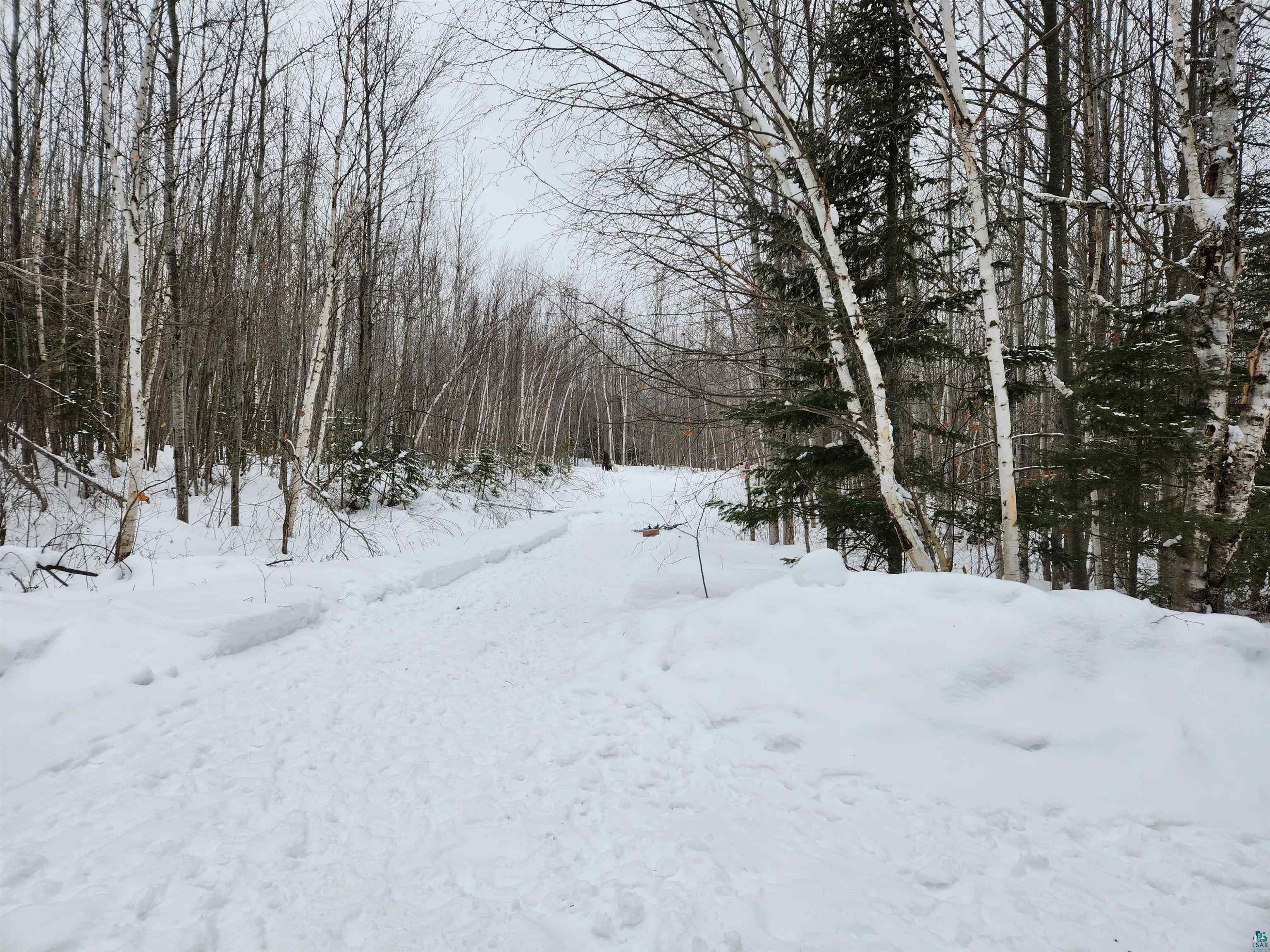Xxx Ridge Road Bayfield, WI 54814 - Photo 15 of 19 Gallery Image 15