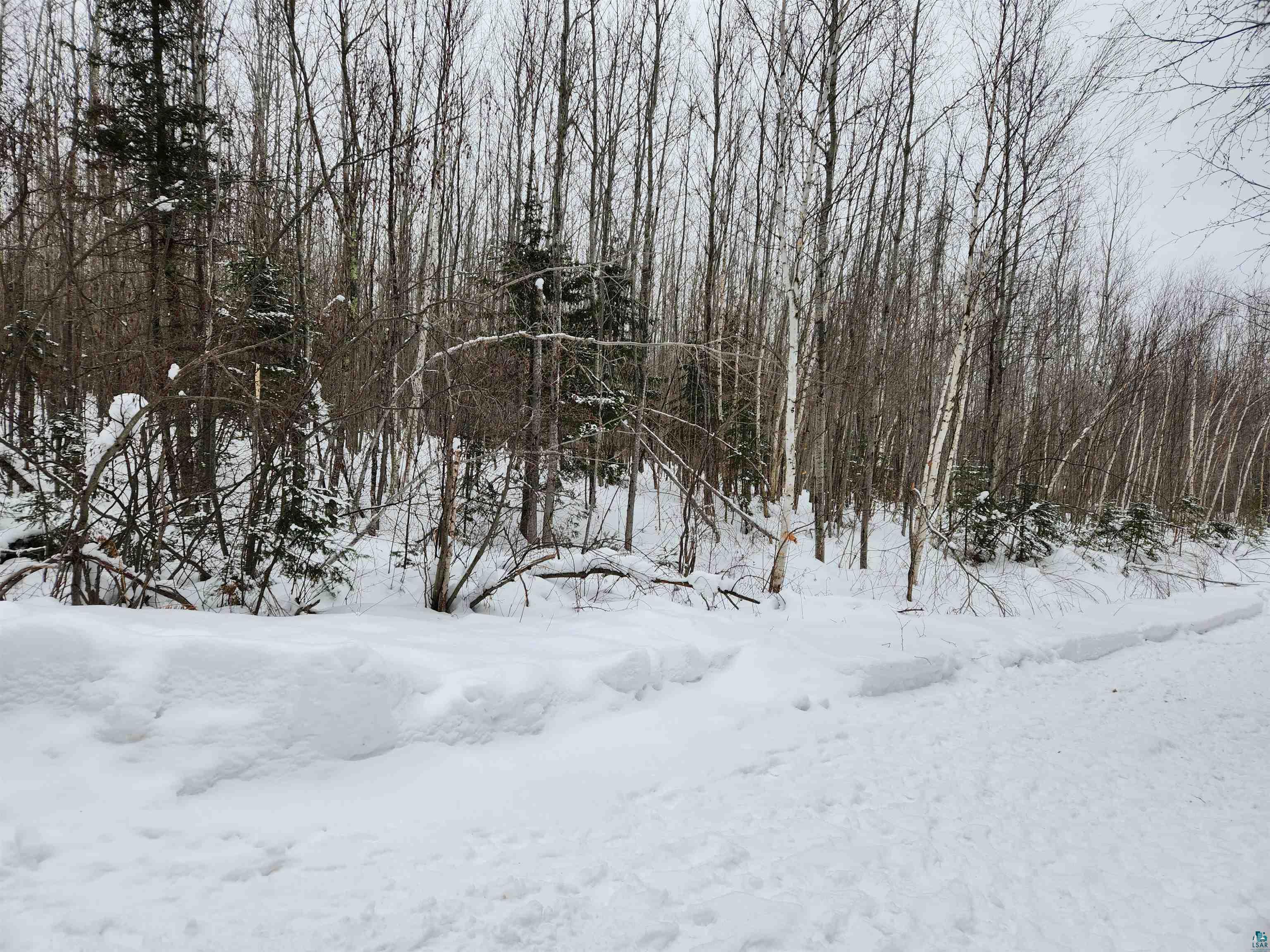 Xxx Ridge Road Bayfield, WI 54814 - Photo 16 of 19 Gallery Image 16