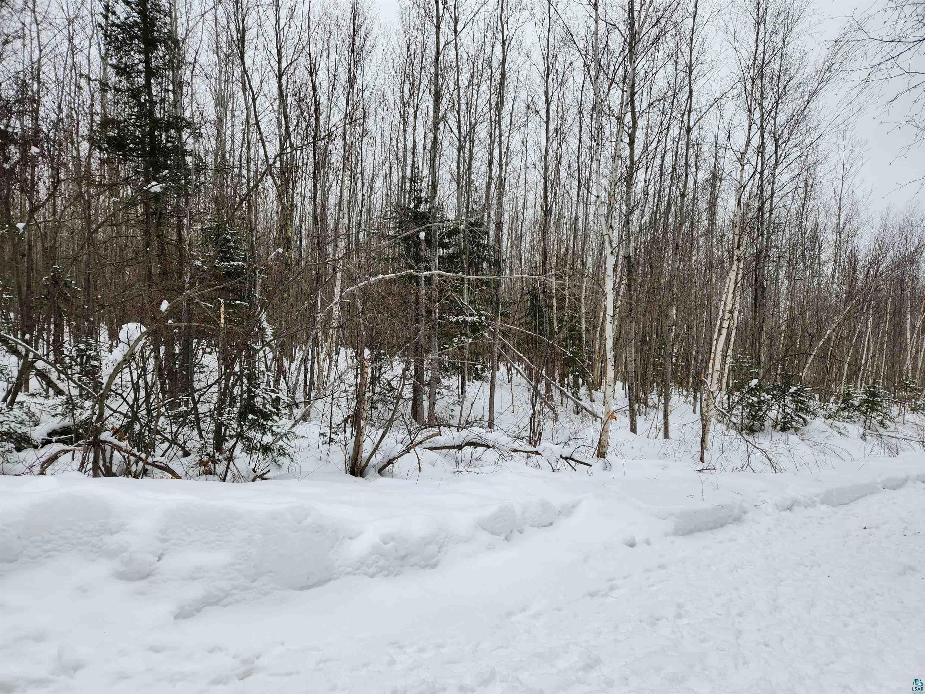 Xxx Ridge Road Bayfield, WI 54814 - Photo 18 of 19 Gallery Image 18