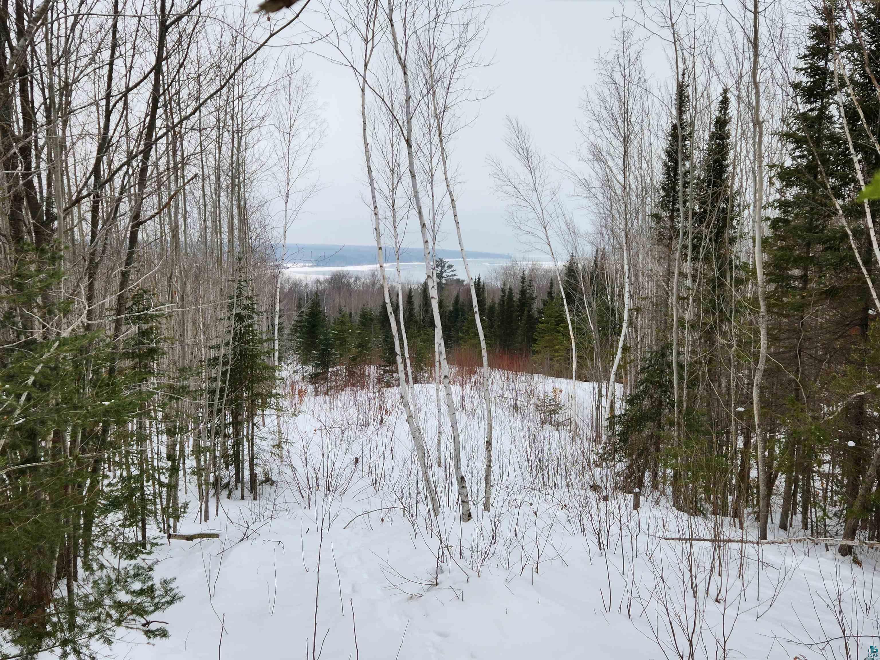 Xxx Ridge Road Bayfield, WI 54814 - Photo 8 of 19 Gallery Image 8