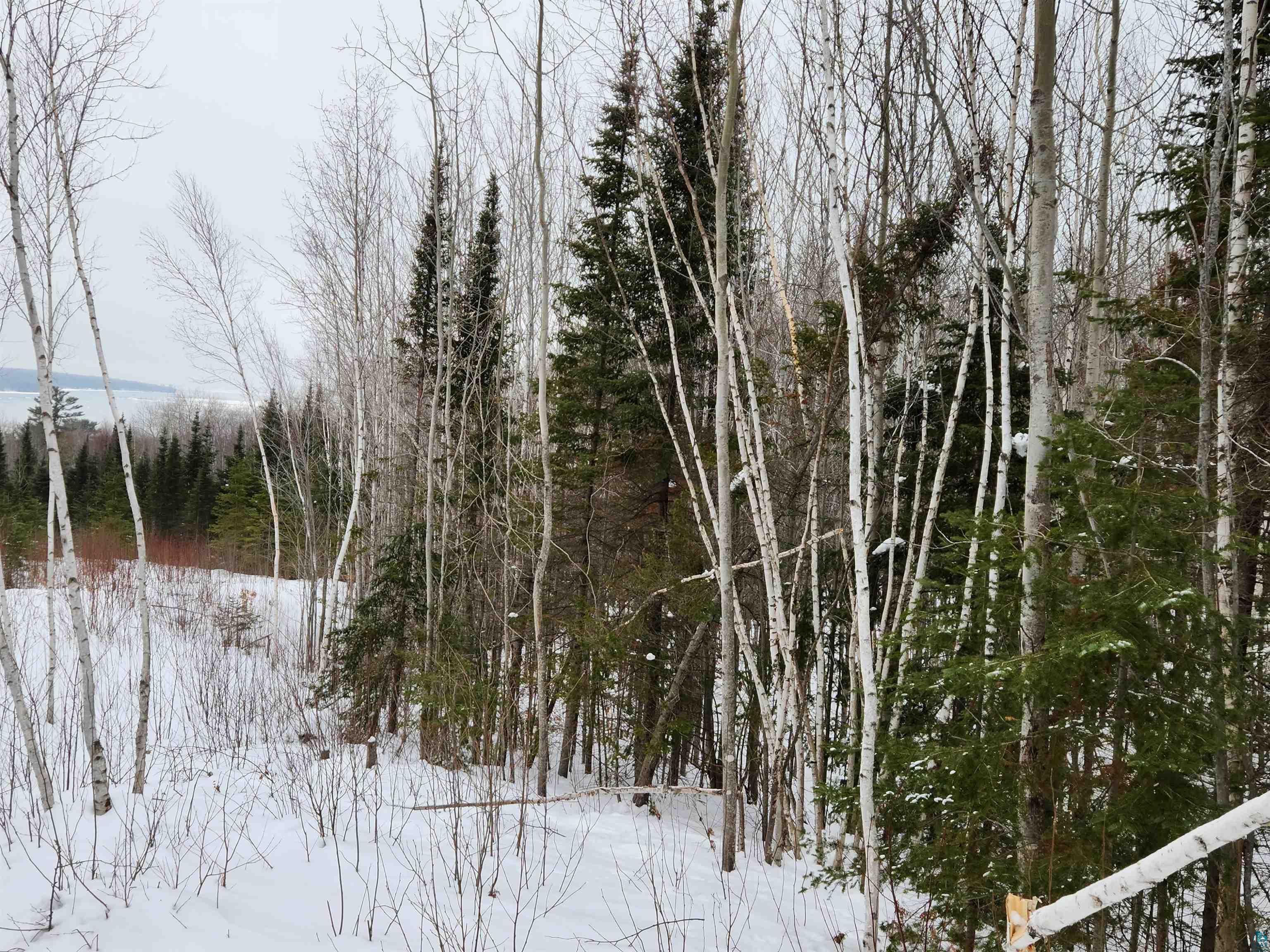 Xxx Ridge Road Bayfield, WI 54814 - Photo 10 of 19 Gallery Image 10