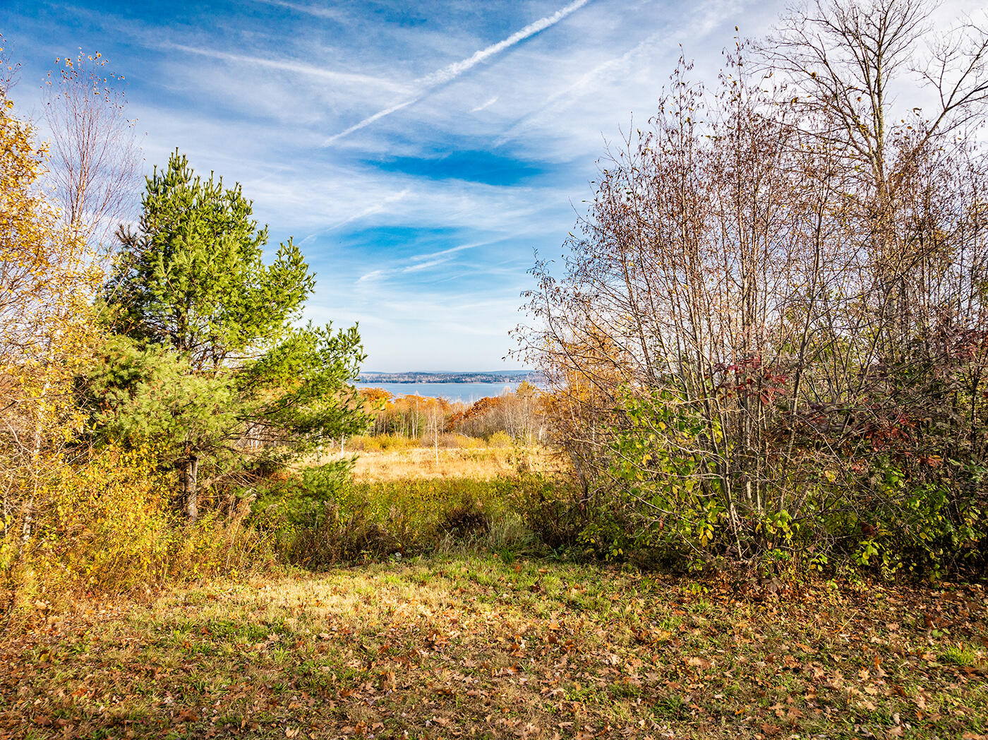 110 Upper Bluff Road Northport, ME 04849 - Photo 1 of 8 DJI_0236