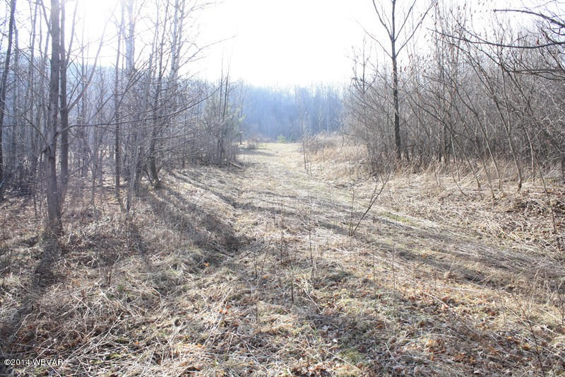 0 Welch Mountain Road Covington, PA 16917 - Photo 24 of 25 125326-24