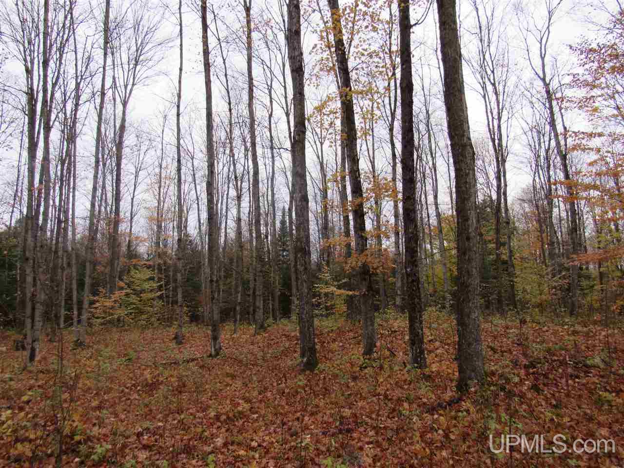 16922 29.5 Road Cooks, MI 49817 - Photo 16 of 33