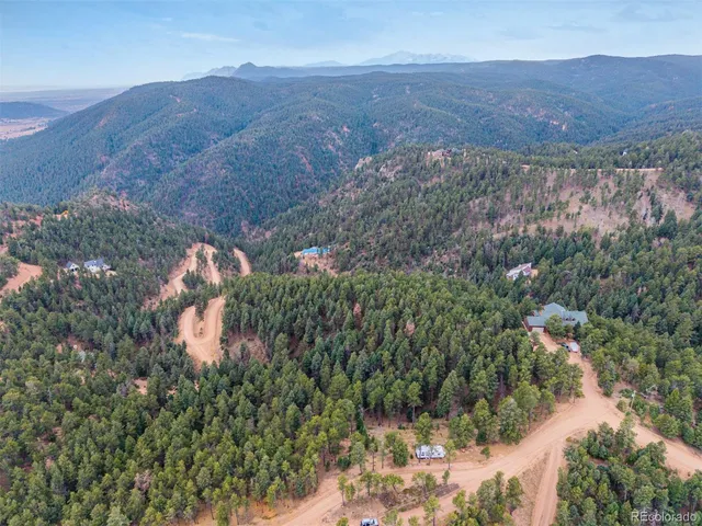 a view of a lush green field with lots of bushes