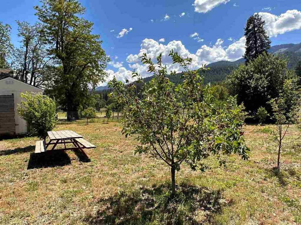 9317 Scott River Road Fort Jones, CA 96032 - Photo 44 of 47 Gallery Image 44
