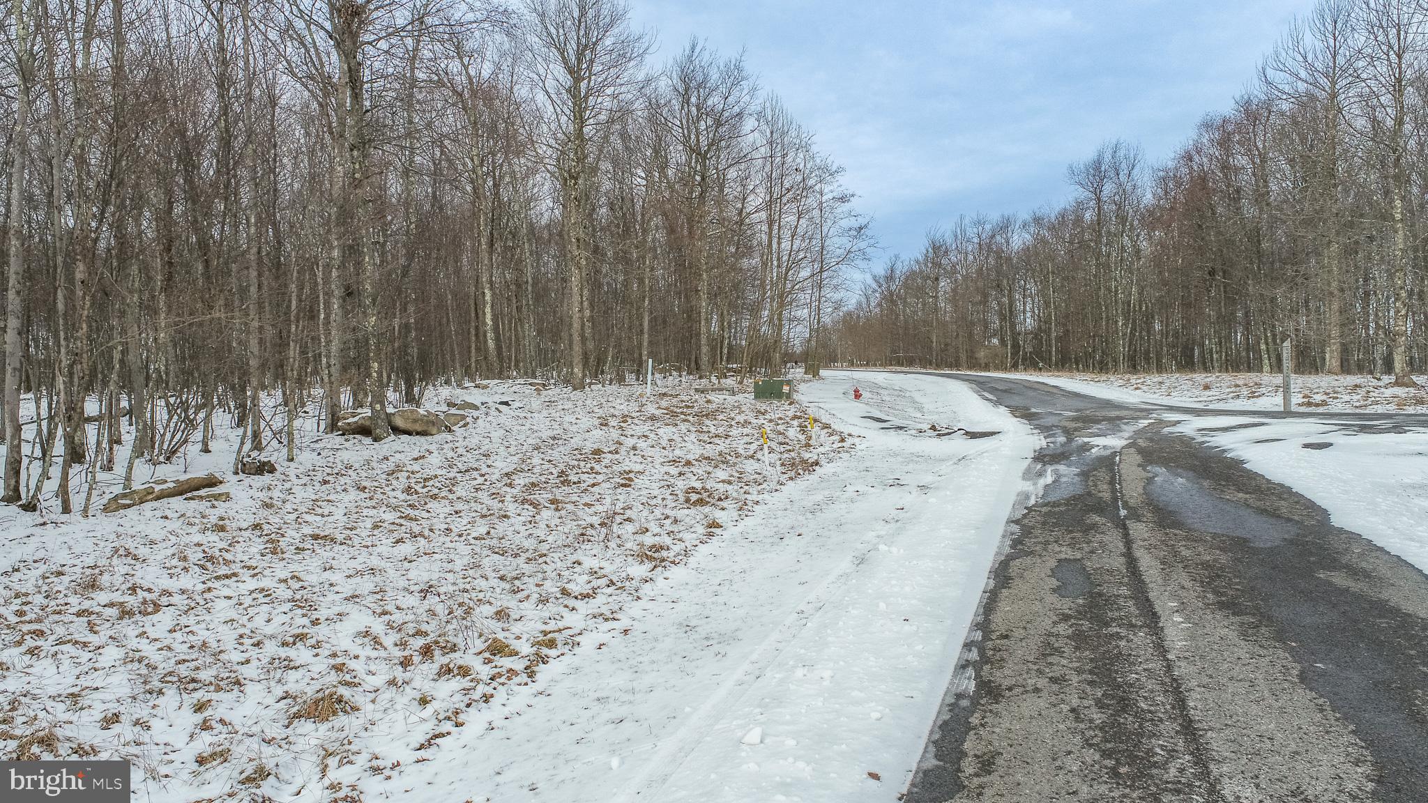 72 Sundance Way McHenry, MD 21541 - Photo 2 of 18 a view of a dry yard with trees