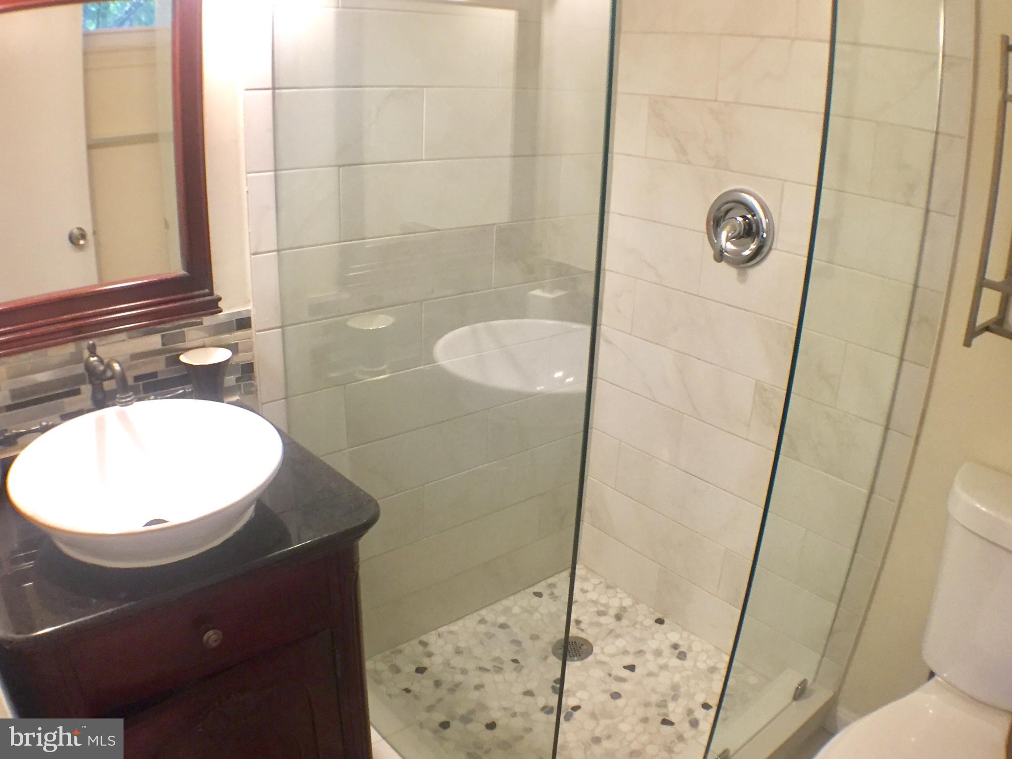 8207 Springfield Village Drive Springfield, VA 22152 - Photo 17 of 30 Bath (Master)