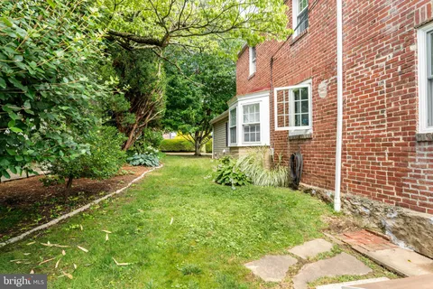 a view of a backyard with plants and large trees