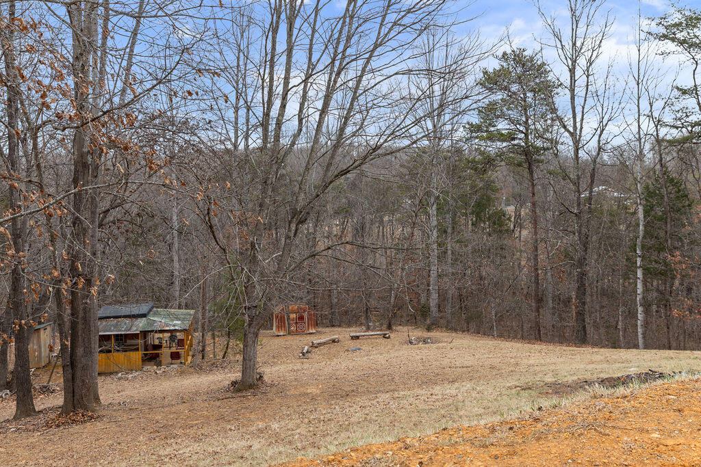 2883 Timber Ridge Buchanan, VA 24066 - Photo 36 of 39 a view of road with trees