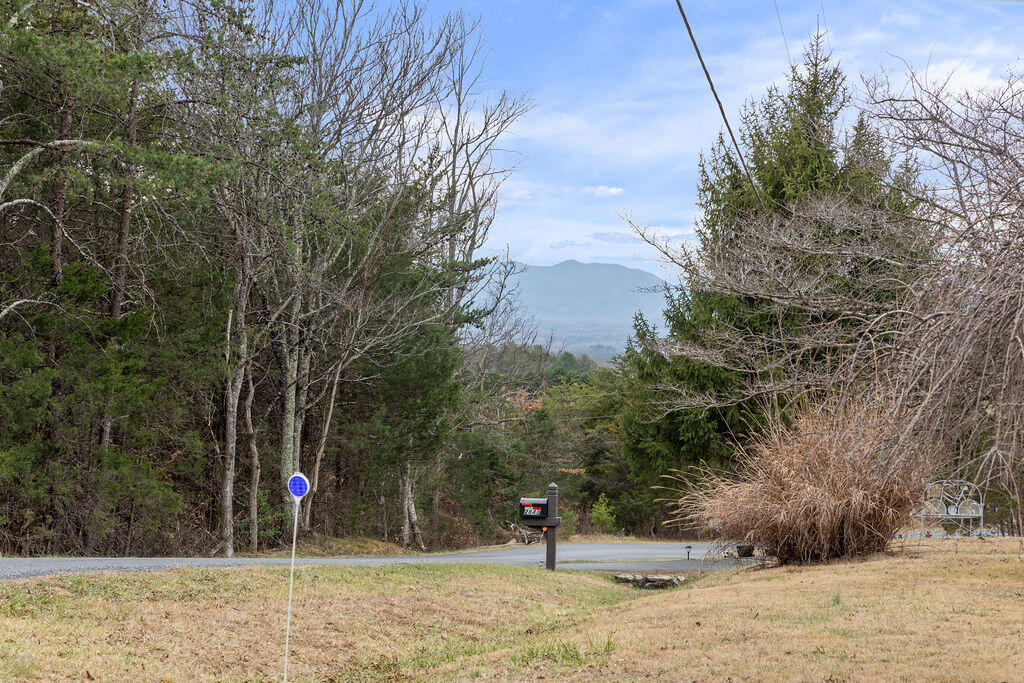 2883 Timber Ridge Buchanan, VA 24066 - Photo 39 of 39 a view of outdoor space with trees