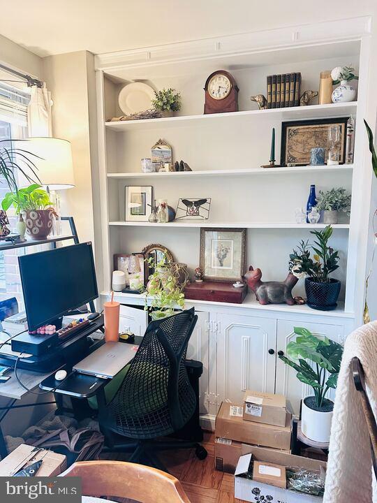 817 E Street Southeast, Unit 1 Washington, DC 20003 - Photo 7 of 25 a living room with furniture and a potted plant