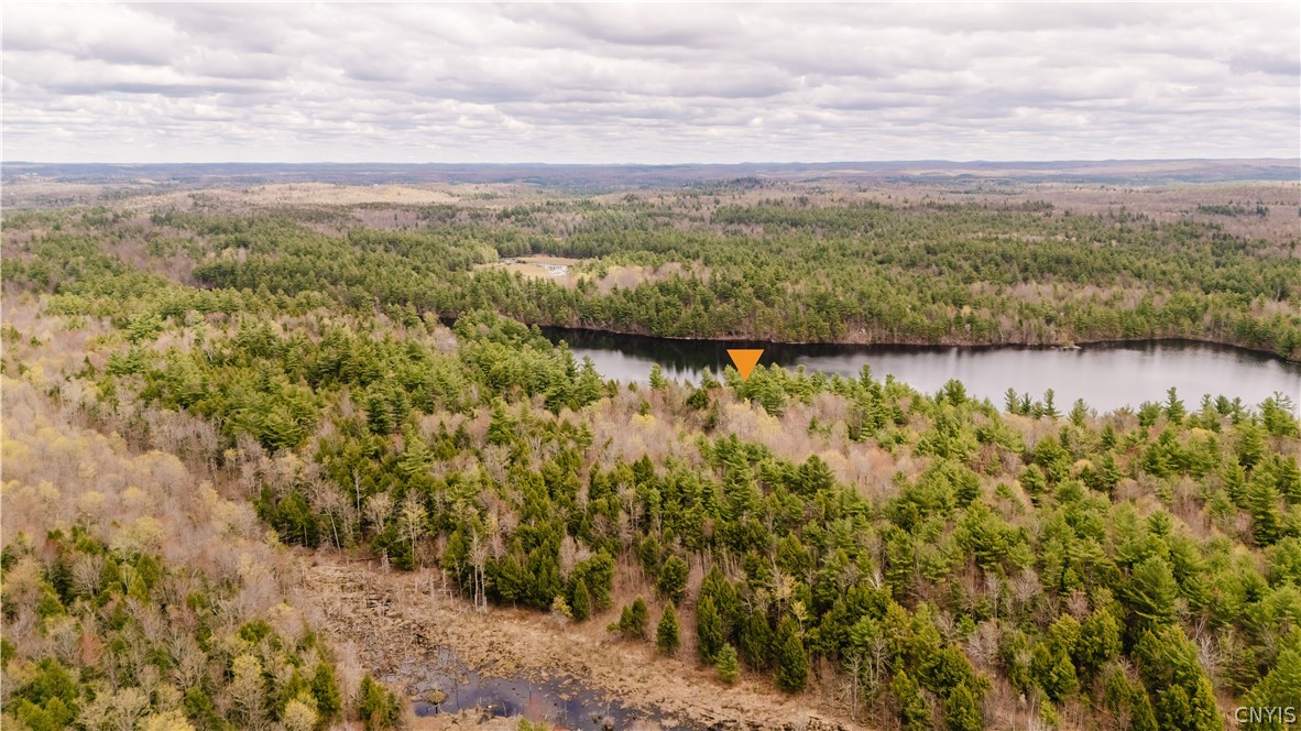 Lot 1 Bingo Road Edwards, NY 13635 - Photo 25 of 28