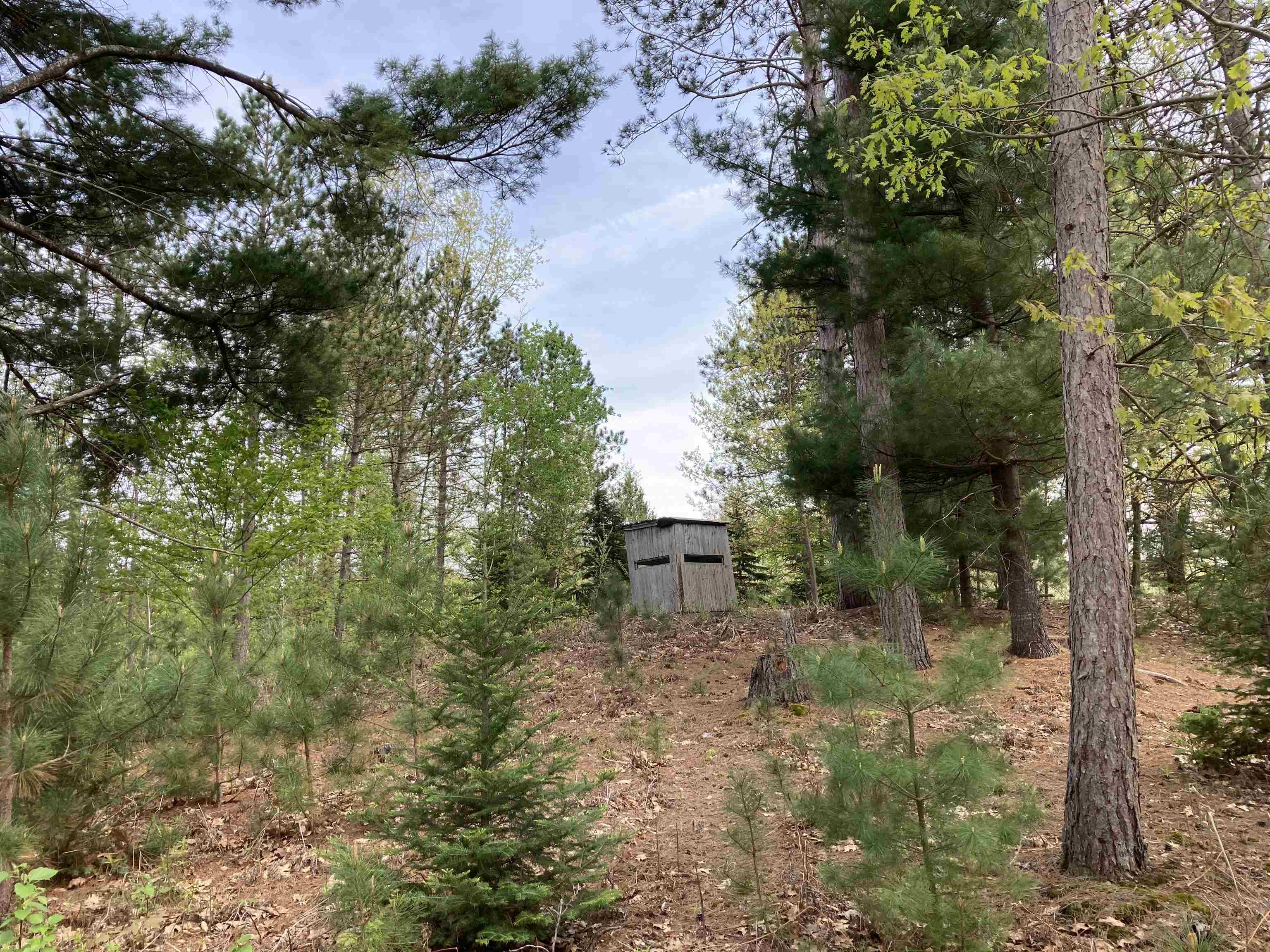 763 Sensabaugh Road Lupton, MI 48635 - Photo 35 of 86 1900015-34.JPG