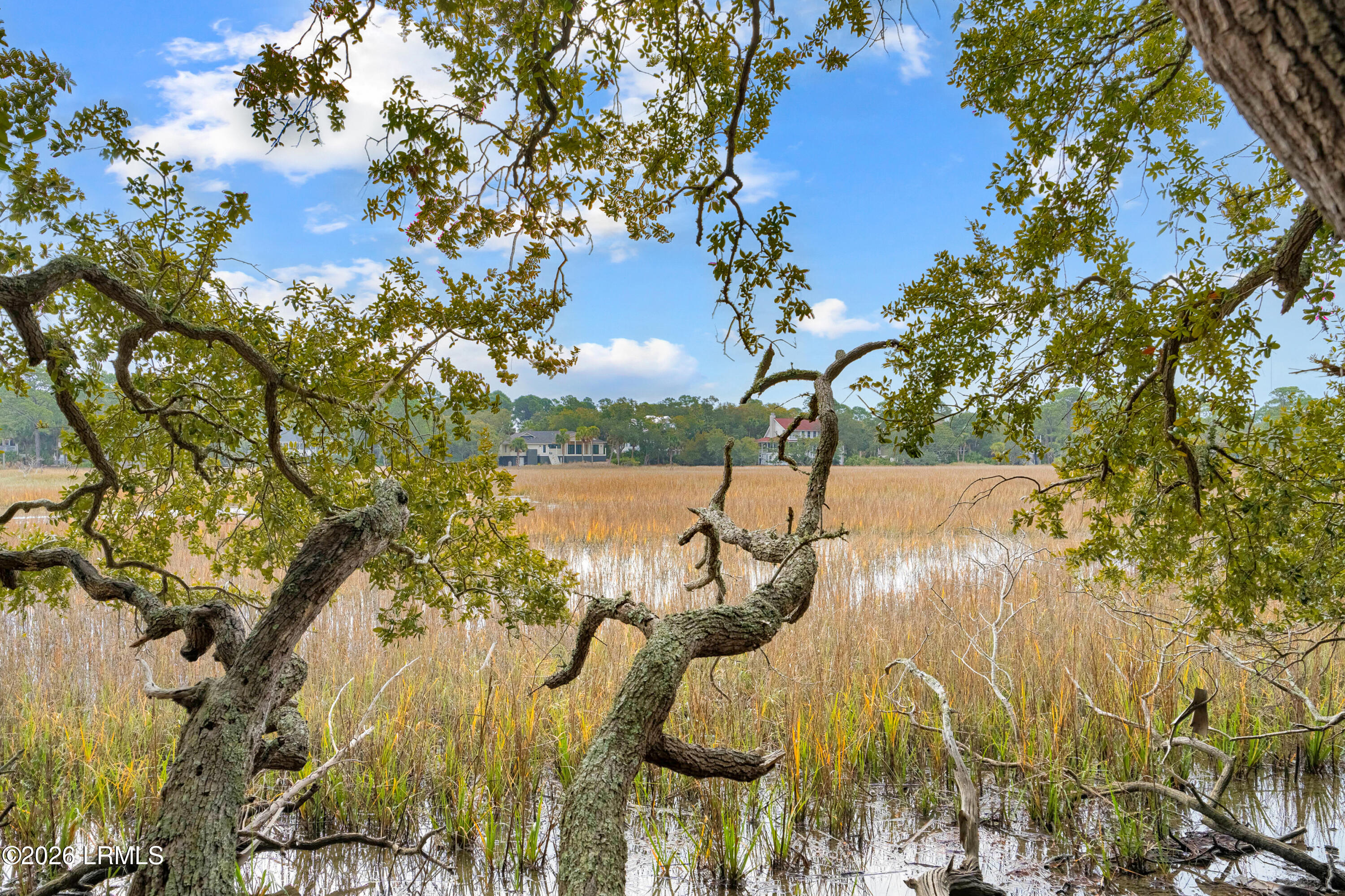 848 Marsh Dunes Road Fripp Island, SC 29920 - Photo 14 of 54 848 Marsh Dunes Extra-19