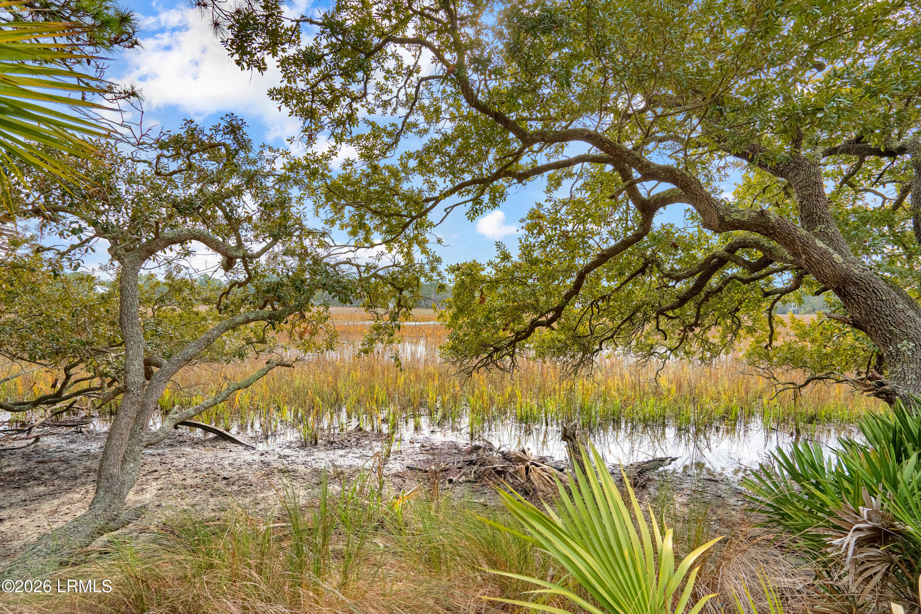 848 Marsh Dunes Road Fripp Island, SC 29920 - Photo 15 of 54 848 Marsh Dunes Extra-21