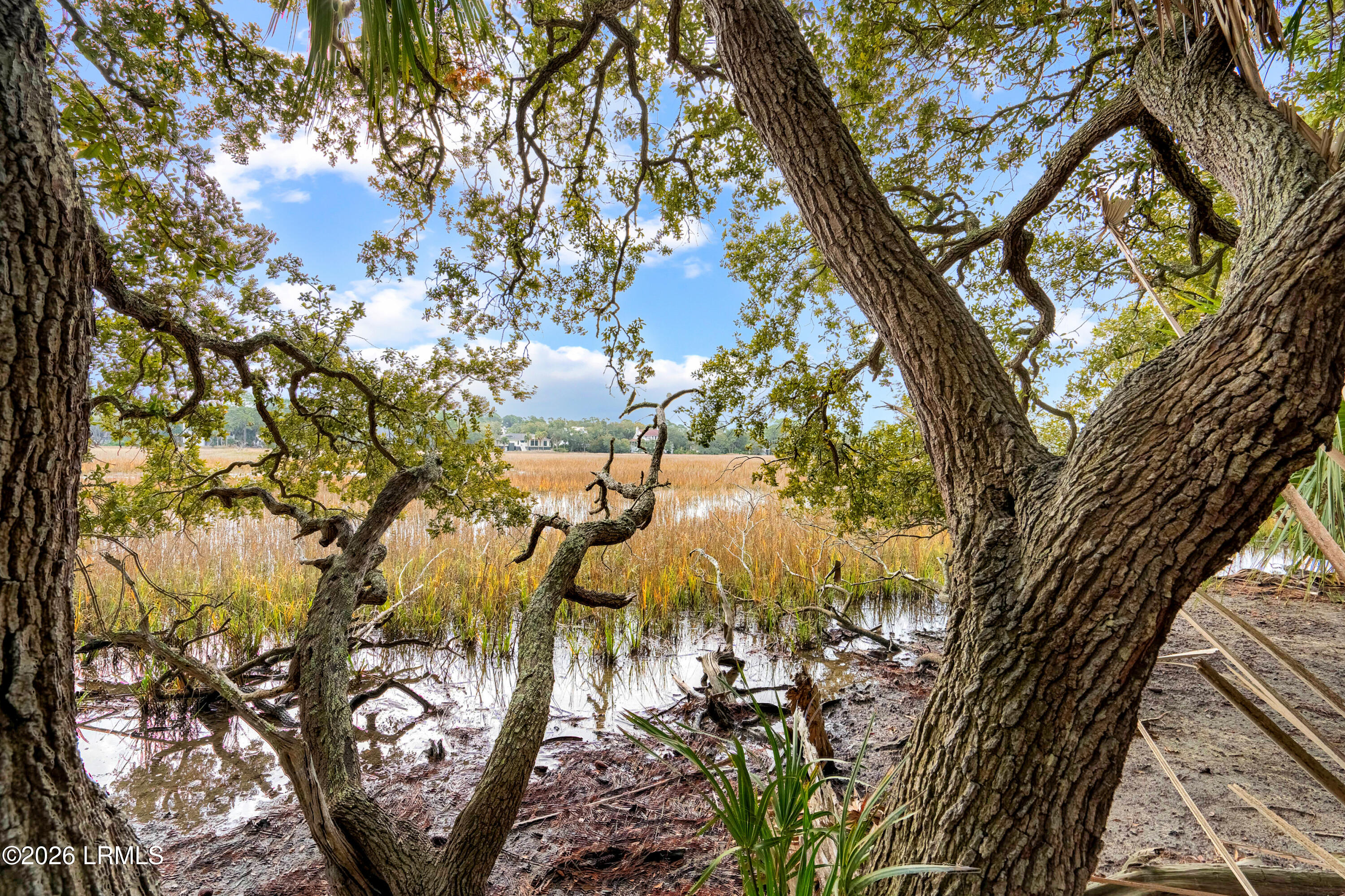 848 Marsh Dunes Road Fripp Island, SC 29920 - Photo 16 of 54 848 Marsh Dunes Extra-17