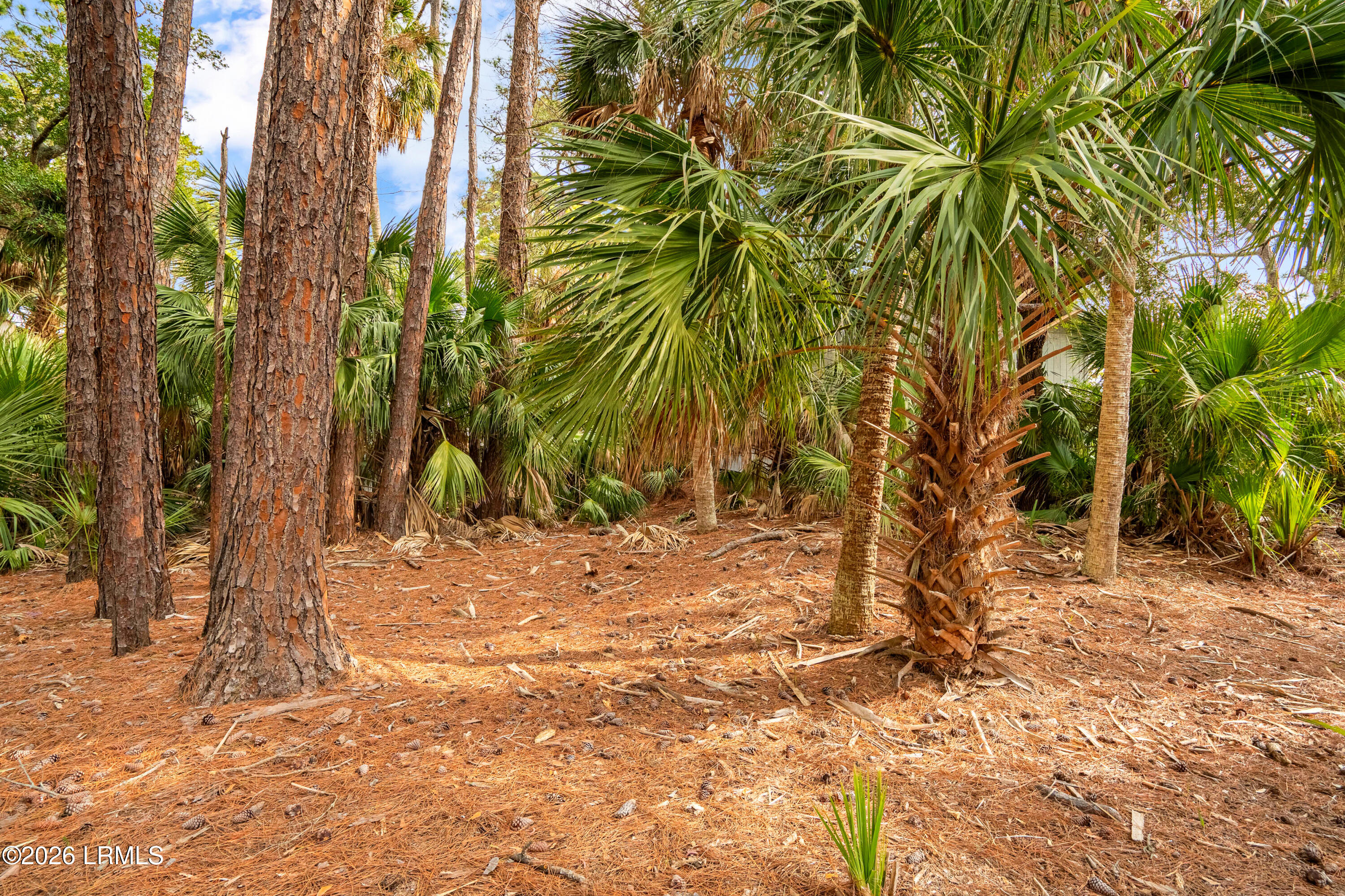 848 Marsh Dunes Road Fripp Island, SC 29920 - Photo 18 of 54 848 Marsh Dunes Extra-13