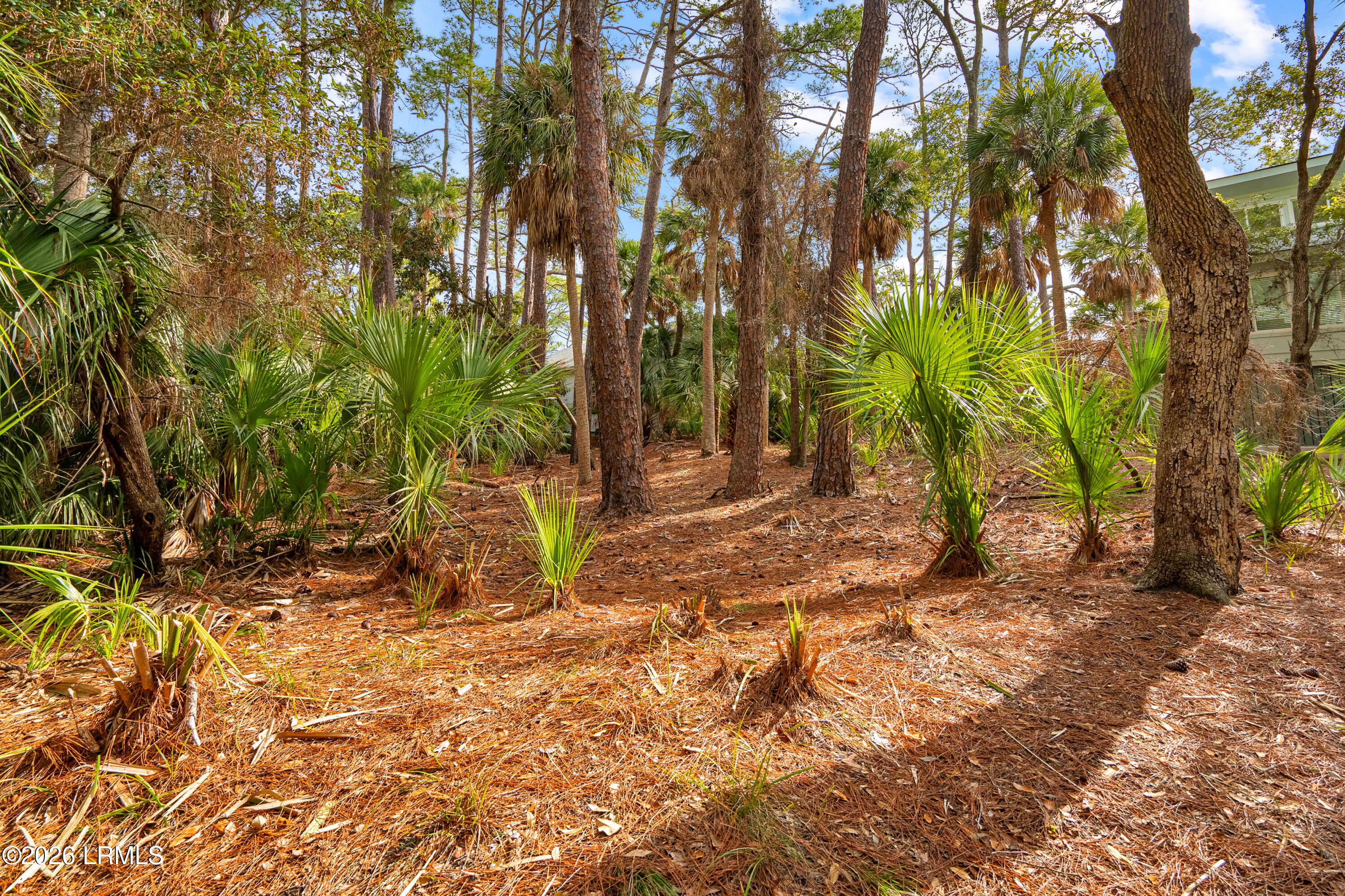 848 Marsh Dunes Road Fripp Island, SC 29920 - Photo 19 of 54 848 Marsh Dunes Extra-10