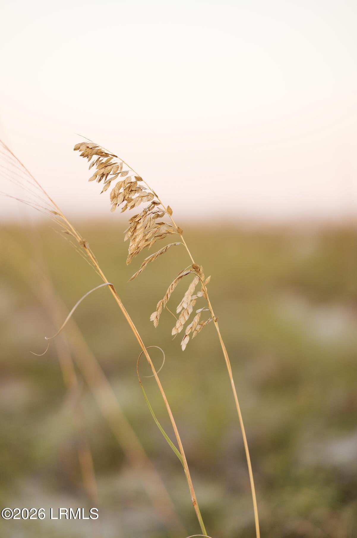 848 Marsh Dunes Road Fripp Island, SC 29920 - Photo 27 of 54 Fripp Island Beach