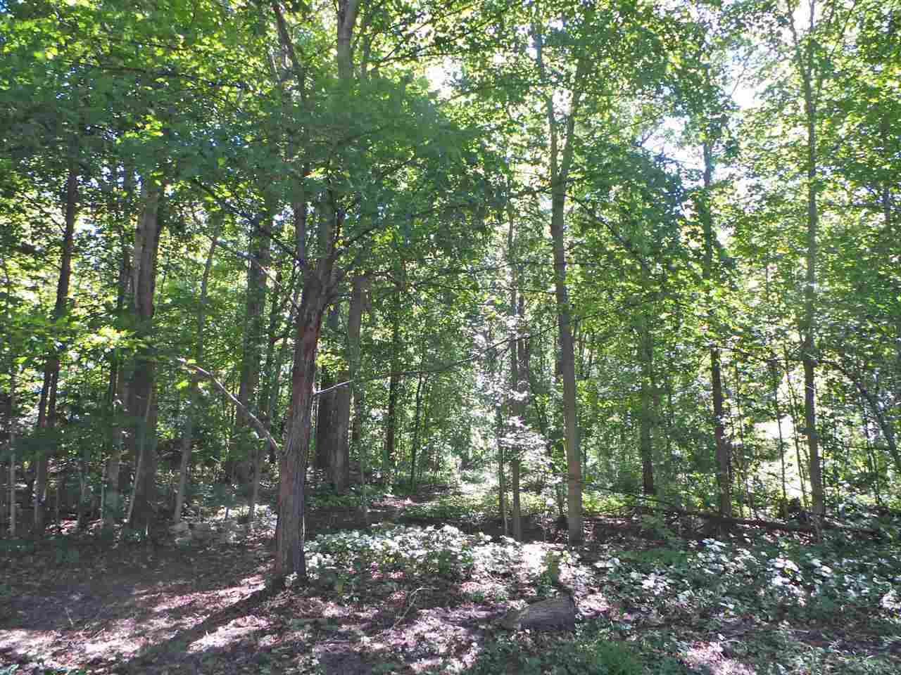 9151 Deitering Road Chesaning, MI 48616 - Photo 10 of 33