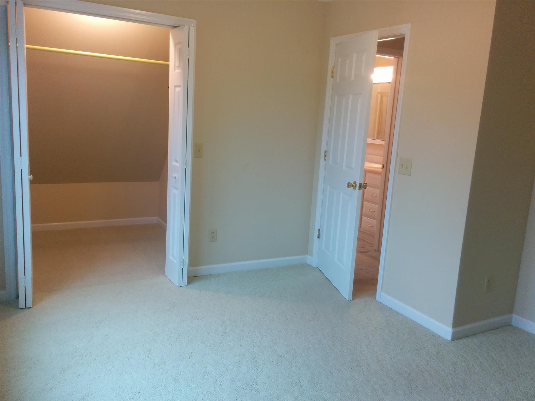 2285 Zion Road Columbia, TN 38401 - Photo 22 of 25 Another View of the 3rd bedroom with walk in closet.