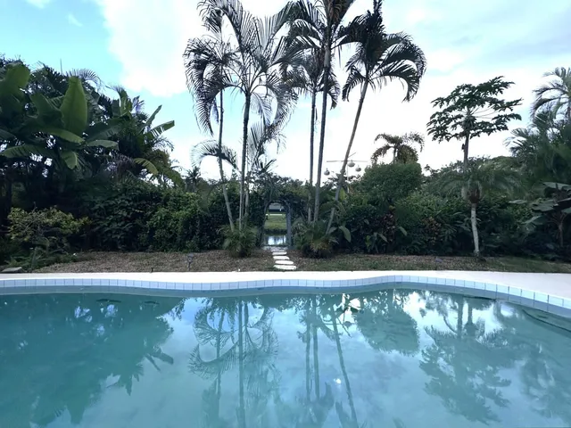 a view of a pathway in a yard