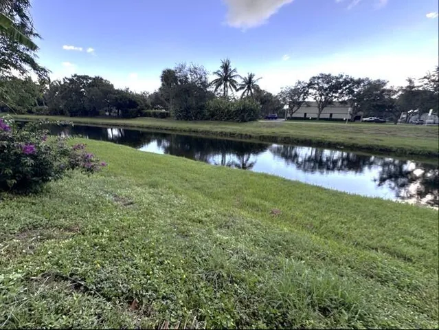 a view of statue in hallway with wooden floor