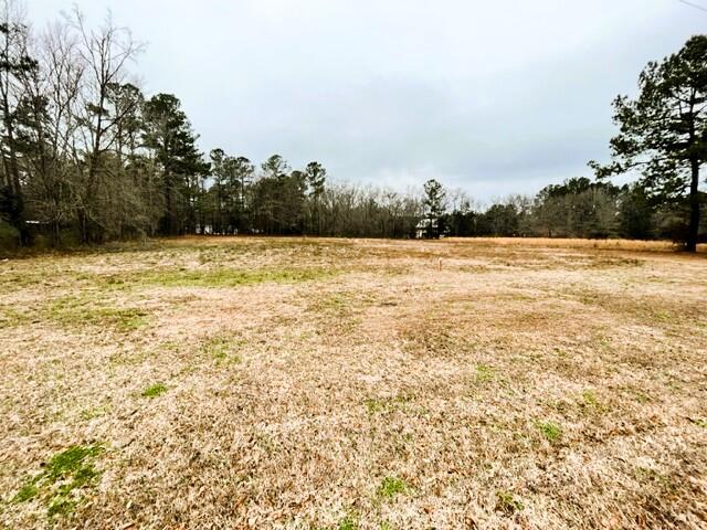 0 George Lane Bonneau, SC 29431 - Photo 1 of 10 IMG_9045