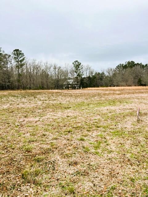 0 George Lane Bonneau, SC 29431 - Photo 3 of 10 IMG_9047