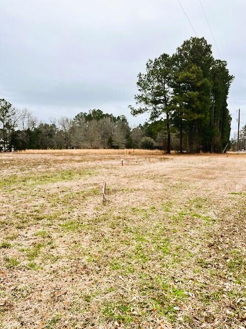0 George Lane Bonneau, SC 29431 - Photo 4 of 10 IMG_9048