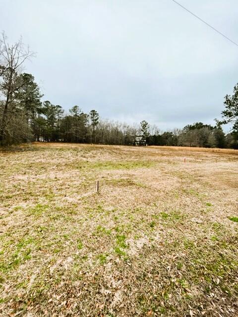 0 George Lane Bonneau, SC 29431 - Photo 5 of 10 IMG_9049