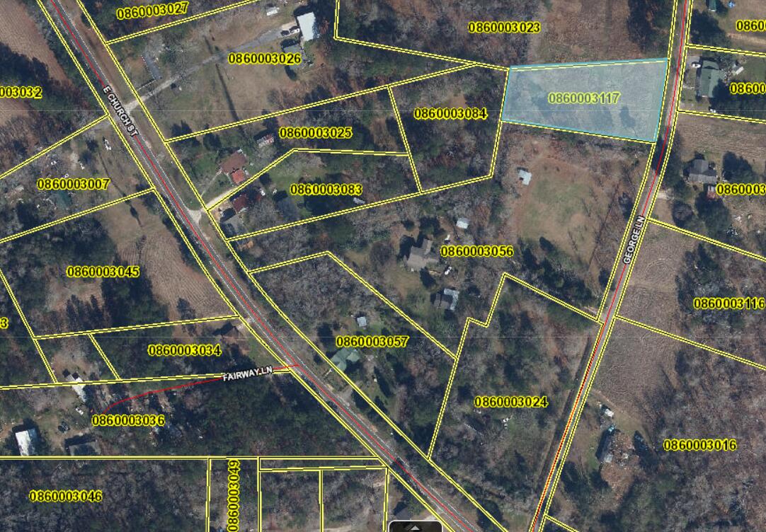 0 George Lane Bonneau, SC 29431 - Photo 9 of 10 BCGIS Map